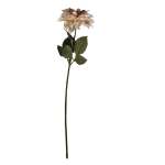 Dahlia Light Pink 16X73CM