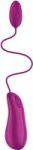 Bnaughty Deluxe Bullet Vibrator Raspberry