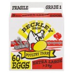 Extra Large Eggs 60 Pack