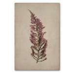 Fynbos 1 Art Print - A3 No Frame Print Only