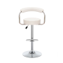 Adjustable Luxury Home Bar Stool