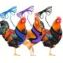 New Chicken Chest Harness Adjustable Chicken Leash Comfortable Breathable Elastic Chicken Vest For Poultry Pet Training Supplies
