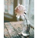 Adult Painting By Numbers - Lonesome Beauty