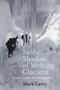In The Shadow Of Melting Glaciers - Climate Change And Andean Society   Paperback New