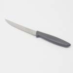 Tramontina Serrated Steak Knife - Grey