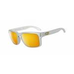 Oakley Holbrook Polarized