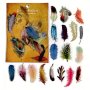60pcs Vibrant Feather Stickers - Perfect For Scrapbooking Journals & Decor | Animal Prints Self-Adhesive PET Material