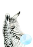 Bubble Gum Zebra Blue - Canvas Print - 600MM X 600MM