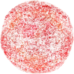 MINI Snowball