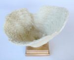 Sponge Ornament Off-white 21X35CM