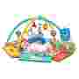 Activity Gym Play Mat With Balls