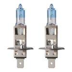 Flosser H1 Globe Kit 12 V 55 W P14