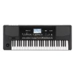 Korg PA300 61 Key Professional Arranger