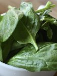 Spinach Matador Seed - 25 G Raw Seed