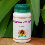 African Potato 50 Capsules Willow