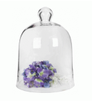 Cake Dome Bell Dome Med 30CM H X 21CM W - 30CM H X 21CM W