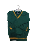 Prof Green And Gold Striped Jersey - Unisex