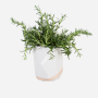 Moonrock Planter - White Terra