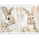 Tear Resistant Deco Print Shabby Bunny
