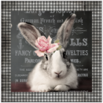 FSC2384 Printed Blanket Assorted