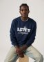 Standard Fit Graphic Crewneck Sweatshirt
