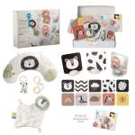Newborn Develop & Play Kit