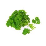Parsley Moss Curl 12CM Pot