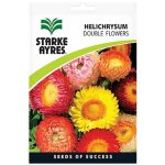 Helichrysum Double Flower Seeds