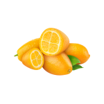 Kumquat Concentrate - 50ML
