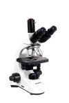 Biological Microscope XS-208 Series