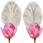 Orchid Petal Flower Silicone Molds - Perfect For Wedding Cupcakes Fondant And Gumpaste Decorating