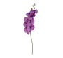 Artificial Orchid