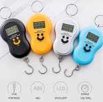 Portable Hang Scale