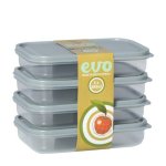 EVO Plastic Snack Box 500ML 4PC Grey Lid By