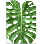 GREE N Leave Wall Art Photography Print On Canvas 813 X 1220