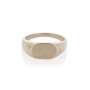 Oval Signet Ring In White Gold - XL Polished