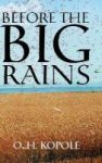 Before The Big Rains Hardcover