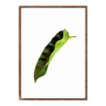 St Tropez Leaf II - A3