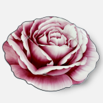 - Wavy Rose Oval Platter 35CM