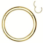 1PC Seamless Hinged Segment Hoop Nose Ring Stainless Steel Cartilage Hoop Rook Tragus Piercing Ear Nose Lip Eyebrow Cartilage Da