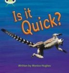 Phonics Bug Non-fiction Set 07 Is It Quick? Paperback