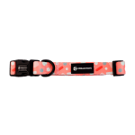 Bell A Collar - Dog Collars - Medium