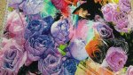 Digital Print Lycra