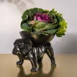 Brutus Bulldog Extra Large Fruit Bowl - Matt Black