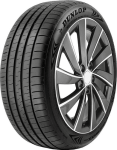 225 55R19 Dunlop Maxx 060+ 103Y XL
