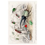 Beetle Collage 2 Art Print