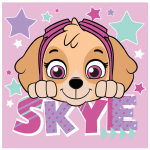 Face Cloth Paw Patrol Pink