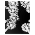 Palm Springs Art Print - A1
