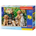 100 Pce Castorland Puppies Laundry And Bird Antics