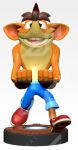 Cable Guy: Crash Bandicoot Quantum